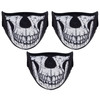 Half Skull 3 Pack