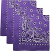 Trainmen Paisley Bandanas Head Scarf Do-rag 100% Cotton Bandanna Head Cover 22" x 22", 3 Pack