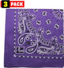 Trainmen Paisley Bandanas Head Scarf Do-rag 100% Cotton Bandanna Head Cover 22" x 22", 3 Pack