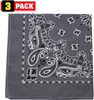 Trainmen Paisley Bandanas Head Scarf Do-rag 100% Cotton Bandanna Head Cover 22" x 22", 3 Pack