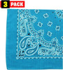 Trainmen Paisley Bandanas Head Scarf Do-rag 100% Cotton Bandanna Head Cover 22" x 22", 3 Pack