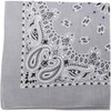 Trainmen Paisley Bandanas Scarf Do-rag Cotton Biker Head Rags Classic Bandanna 22" x 22", 12 Pack (Light Grey)