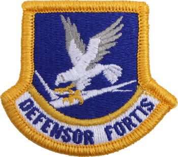 US Air Force Inspection Ready Defensor Fortis Security Forces Beret Flash Patch US Air Force Inspection Ready Defensor Fortis Security Forces Beret Flash Patch