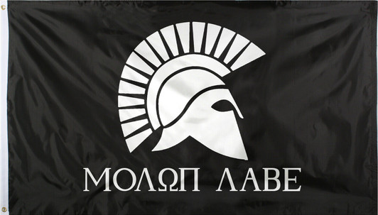 Molon Labe Flag Spartan Helmet Come & Take Them Outdoor Grommet Flag