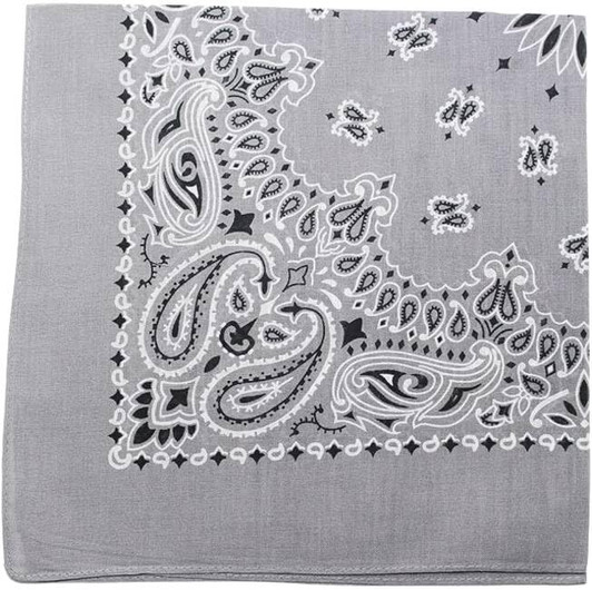 Trainmen Paisley Bandanas Scarf Do-rag Cotton Biker Head Rags Classic Bandanna 22" x 22", 12 Pack (Light Grey)