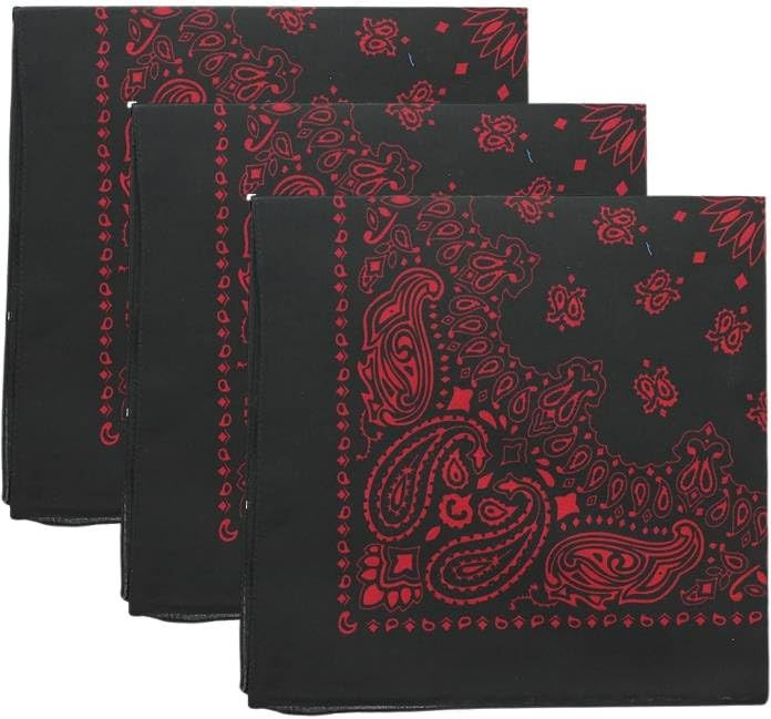 Trainmen Paisley Bandanas Head Scarf Do-rag 100% Cotton Bandanna Head Cover 22" x 22", 3 Pack