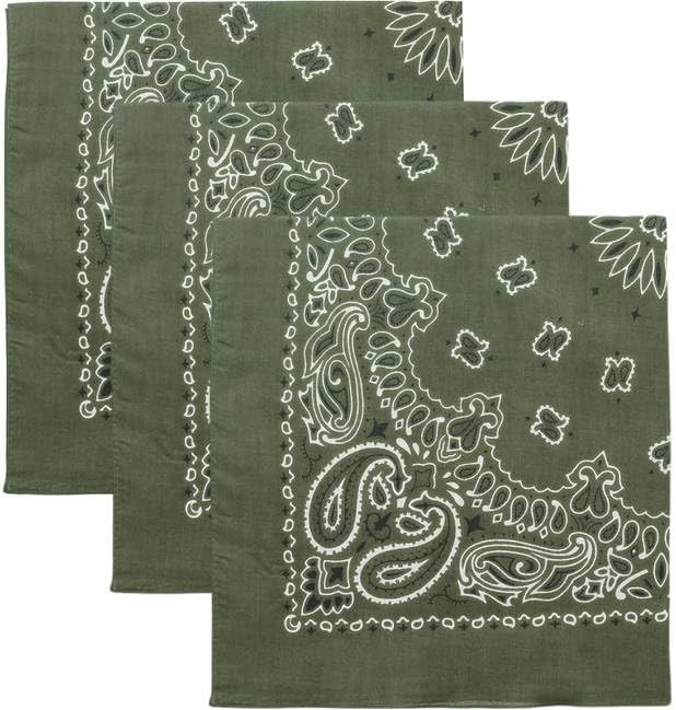 Trainmen Paisley Bandanas Head Scarf Do-rag 100% Cotton Bandanna Head Cover 22" x 22", 3 Pack