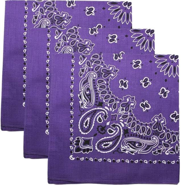 Trainmen Paisley Bandanas Head Scarf Do-rag 100% Cotton Bandanna Head Cover 22" x 22", 3 Pack