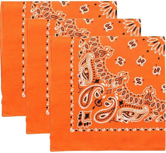 Trainmen Paisley Bandanas Head Scarf Do-rag 100% Cotton Bandanna Head Cover 22" x 22", 3 Pack