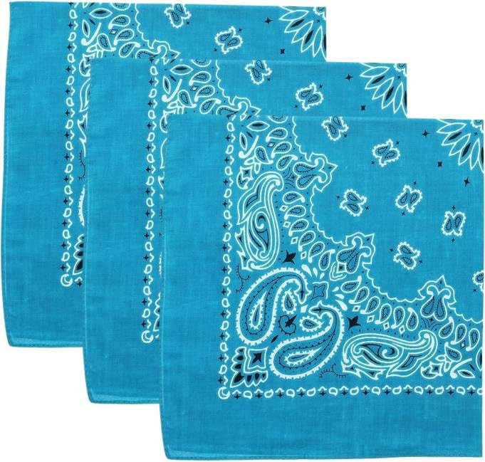 Trainmen Paisley Bandanas Head Scarf Do-rag 100% Cotton Bandanna Head Cover 22" x 22", 3 Pack