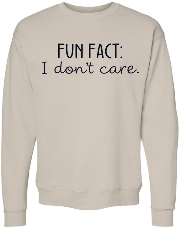 Fun Fact I Don’t Care Printed Hoodie Sarcastic Humor Quote Polycotton Pullover Hooded Sweatshirt