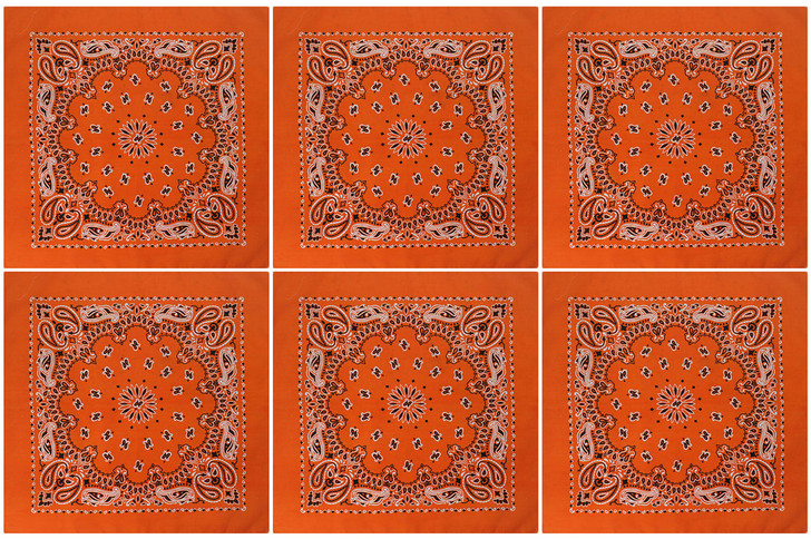 Trainmen Paisley 27" Jumbo Military Bandana Head Scarf Do-rag 100% Cotton Bandanna Face Cover 6-Pack