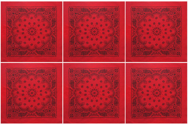 Trainmen Paisley 27" Jumbo Military Bandana Head Scarf Do-rag 100% Cotton Bandanna Face Cover 6-Pack