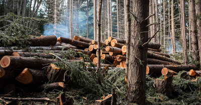 How to Size a Wood Splitter for Your Mini Excavator (And Why Getting It Wrong Is an Expensive Mistake)