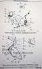 1953-1975 Corvette Chassis and Body Parts Catalog Example