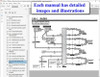 1995 Ford Bronco Electrical and Vacuum Troubleshooting Manual 