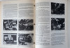 1980-1983 Pontiac Diesel Service Manual Supplement