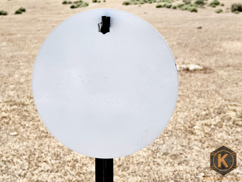 10" target plate