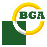 BG Automotive