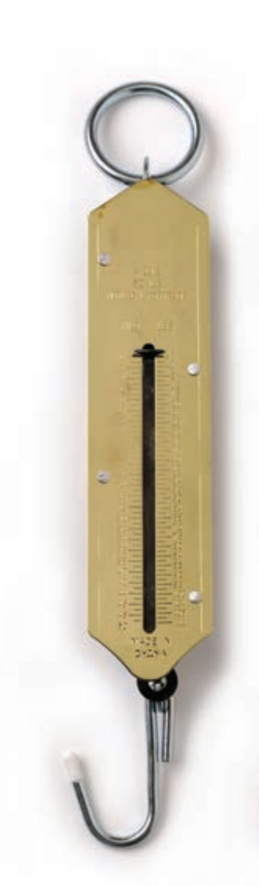 P-Line 100lb Brass Scale