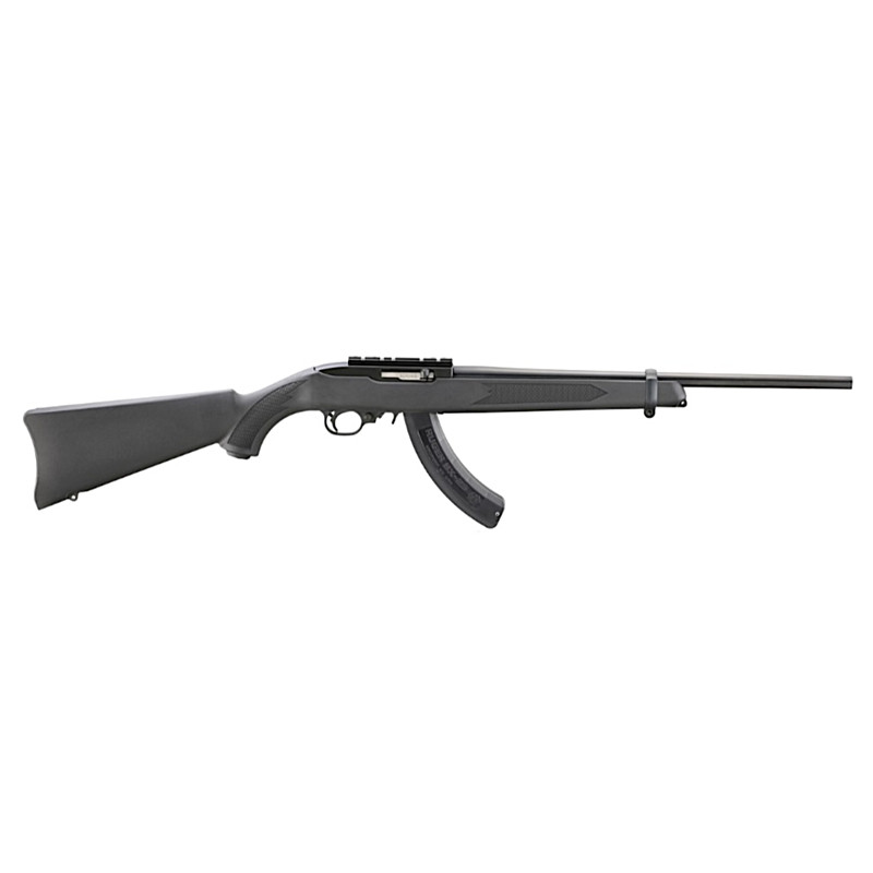 Ruger 10/22 Carbine Semi-Auto Rifle 18.5" 2 Magazines 10/25 Rounds (Pinned)