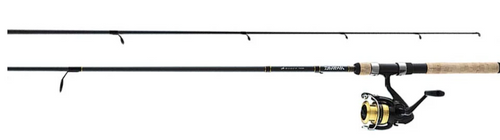 Daiwa D-Shock Spin Combo 6'6"