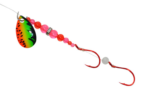 Gibbs Wedding Band Guide Series #2 Tiger Prawn Pink/Red Beads