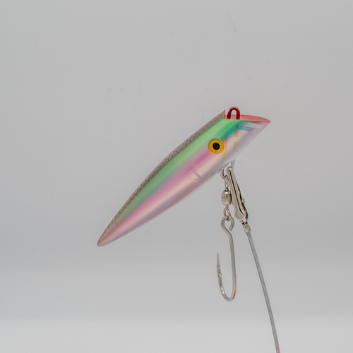 Tomic Tubby Tyee 5" 700 UVBII