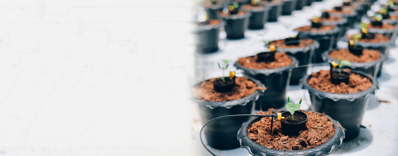 Hydroponic Pots & Containers