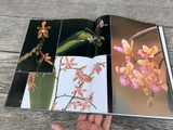 Orchids: Wonders of Nature, Kijima
