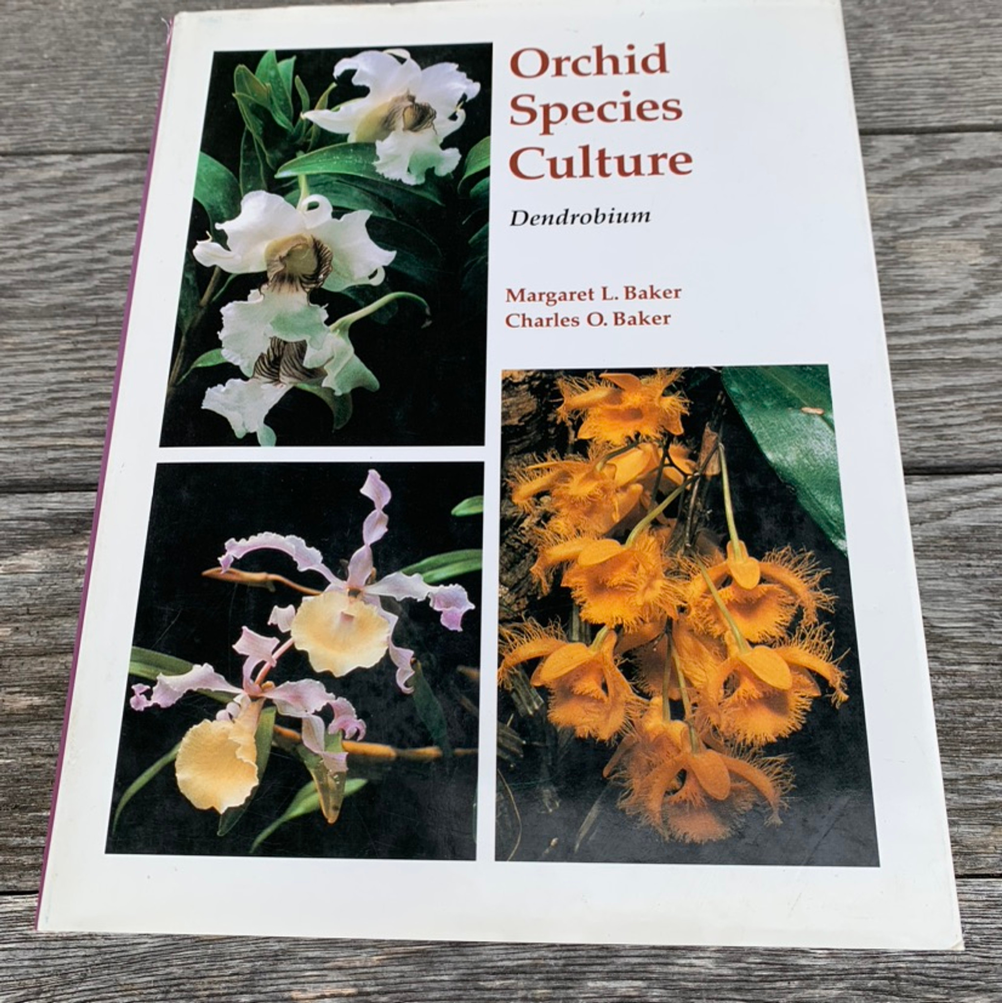 Orchid Species Culture - Dendrobium, Baker & Baker