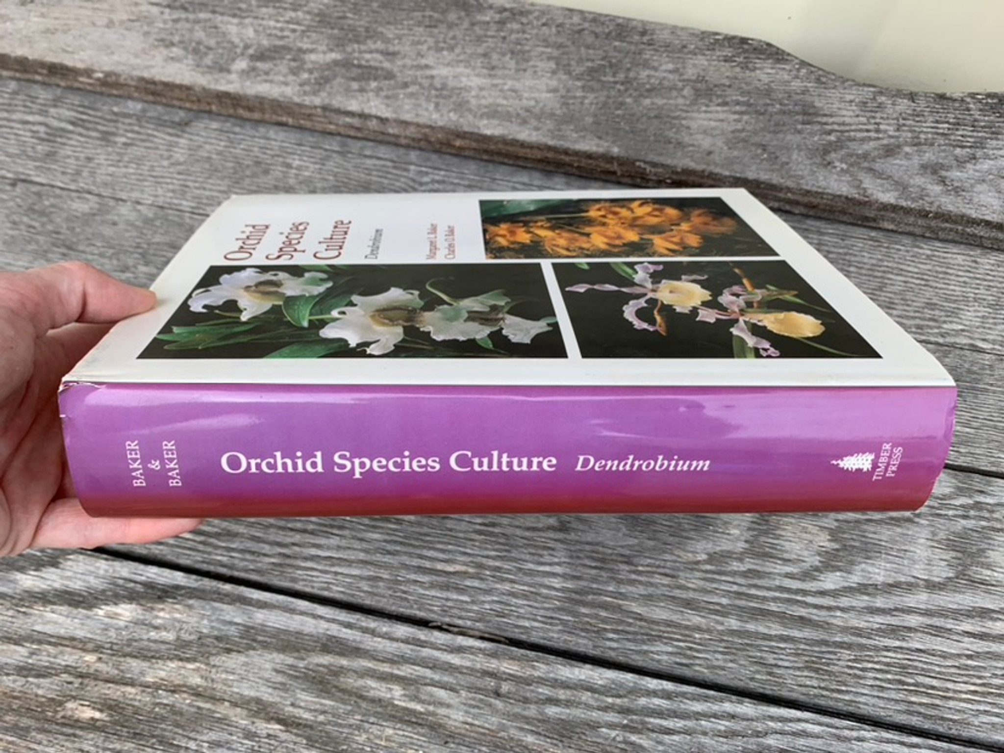 Orchid Species Culture - Dendrobium, Baker & Baker