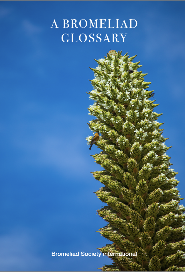 A Bromeliad Glossary