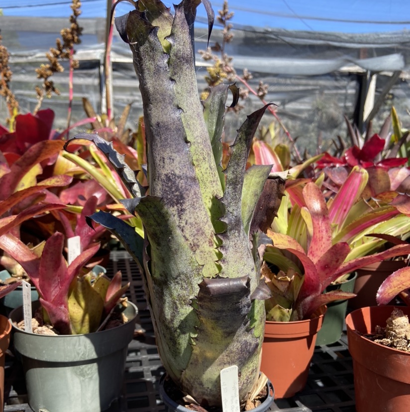 B311BB7B-21E5-4D47-8E29-