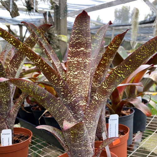 66766998-D104-4404-8846-