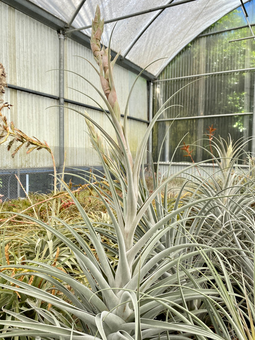 IMG_2573__35914.1709329950.500