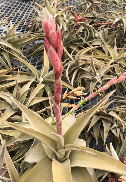 IMG_5115__57159.1705944656.500