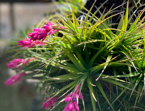 IMG_2094__52794.1556311695.500