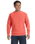 BRIGHT SALMON-FRONT BRIGHT SALMON-FRONT