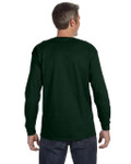 FOREST GREEN-BACK FOREST GREEN-BACK