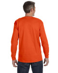 BURNT ORANGE-BACK BURNT ORANGE-BACK
