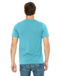 TURQUOISE-BACK TURQUOISE-BACK