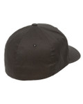 BLACK-BACK BLACK-BACK