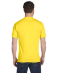 YELLOW-BACK YELLOW-BACK