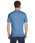 CAROLINA BLUE-BACK CAROLINA BLUE-BACK