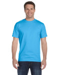 AQUATIC BLUE-FRONT AQUATIC BLUE-FRONT