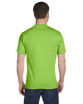 LIME-BACK LIME-BACK