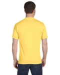 DAFFODIL YELLOW-BACK DAFFODIL YELLOW-BACK