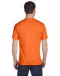 ORANGE-BACK ORANGE-BACK