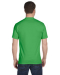 SHAMROCK GREEN-BACK SHAMROCK GREEN-BACK